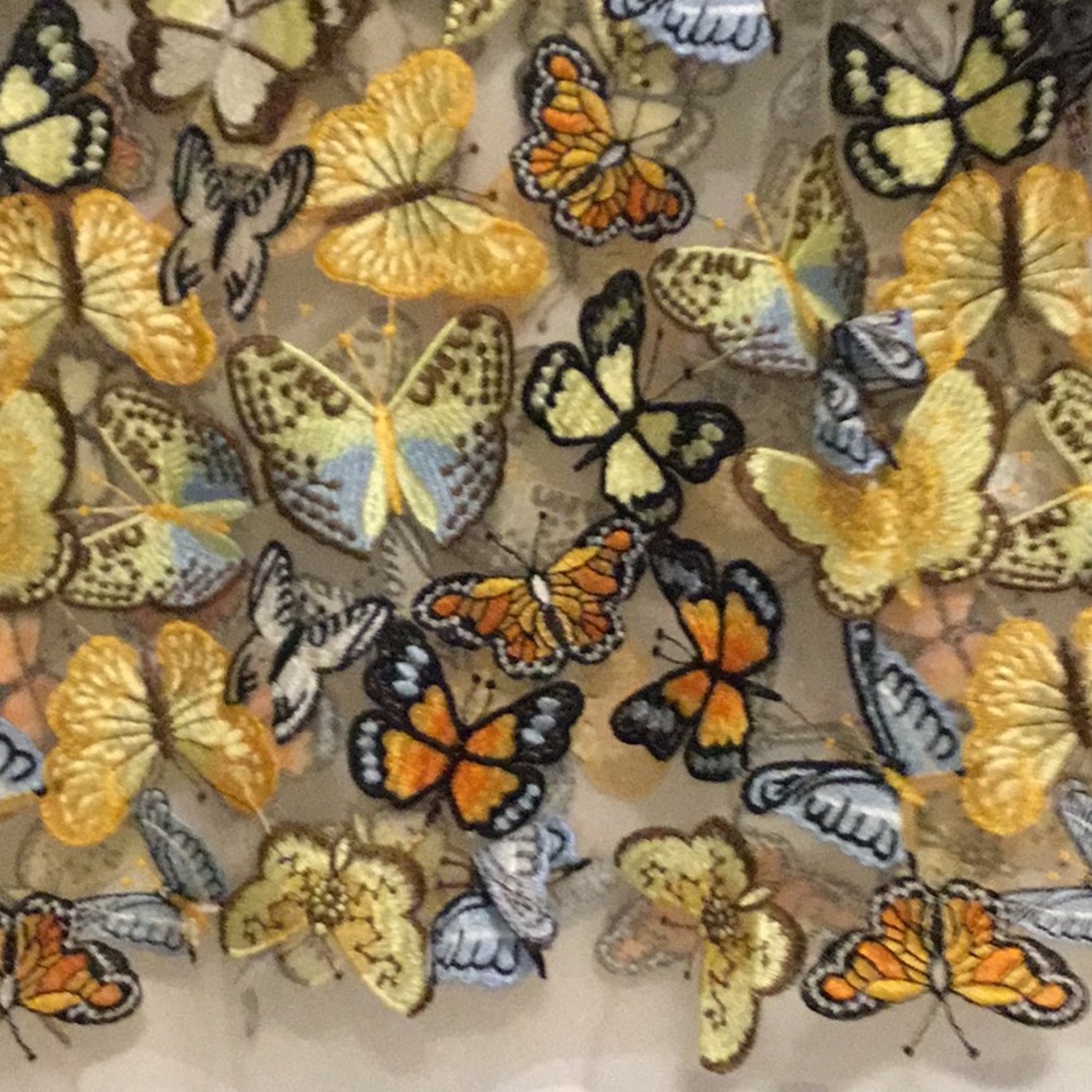 Beautiful Anthropologie see through Dola Butterfly (demential) top - Picture 2 of 4